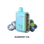 Geekbar 15000 Puff Disposable Vape- Blueberry Ice