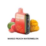 Geekbar 15000 Puff Disposable Vape-Mango Peach Watermelon