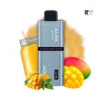 Ager 14000 Puff Disposable Double Mango