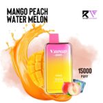 Vapgo Bar Max 15000 Puff Disposable Vape-Mango Peach Watermelon